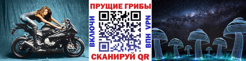 цены   Шенкурск  Псилоцибиновые грибы MAGIC MUSHROOMS 